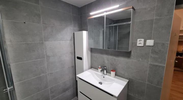 Apartment Krakovska 20 布拉格 外观 照片
