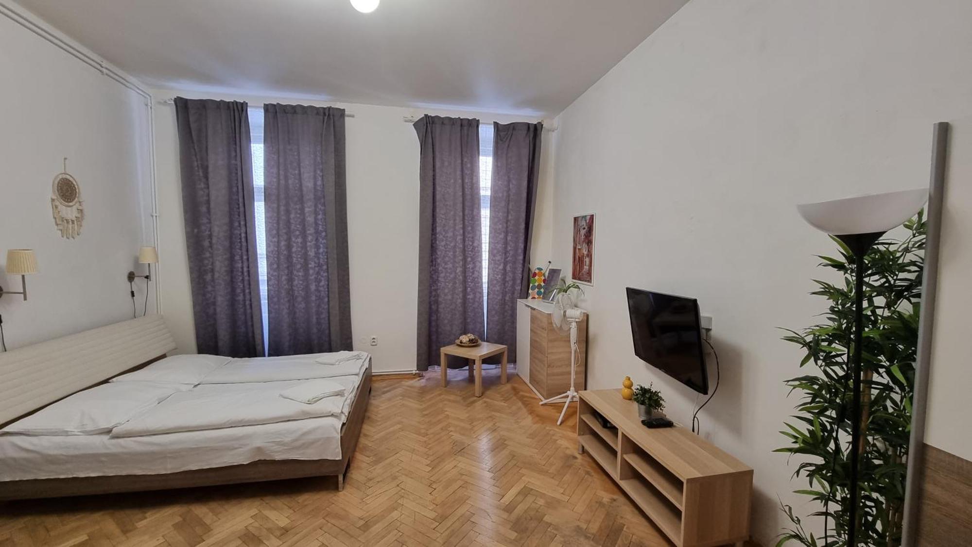 Apartment Krakovska 20 布拉格 外观 照片