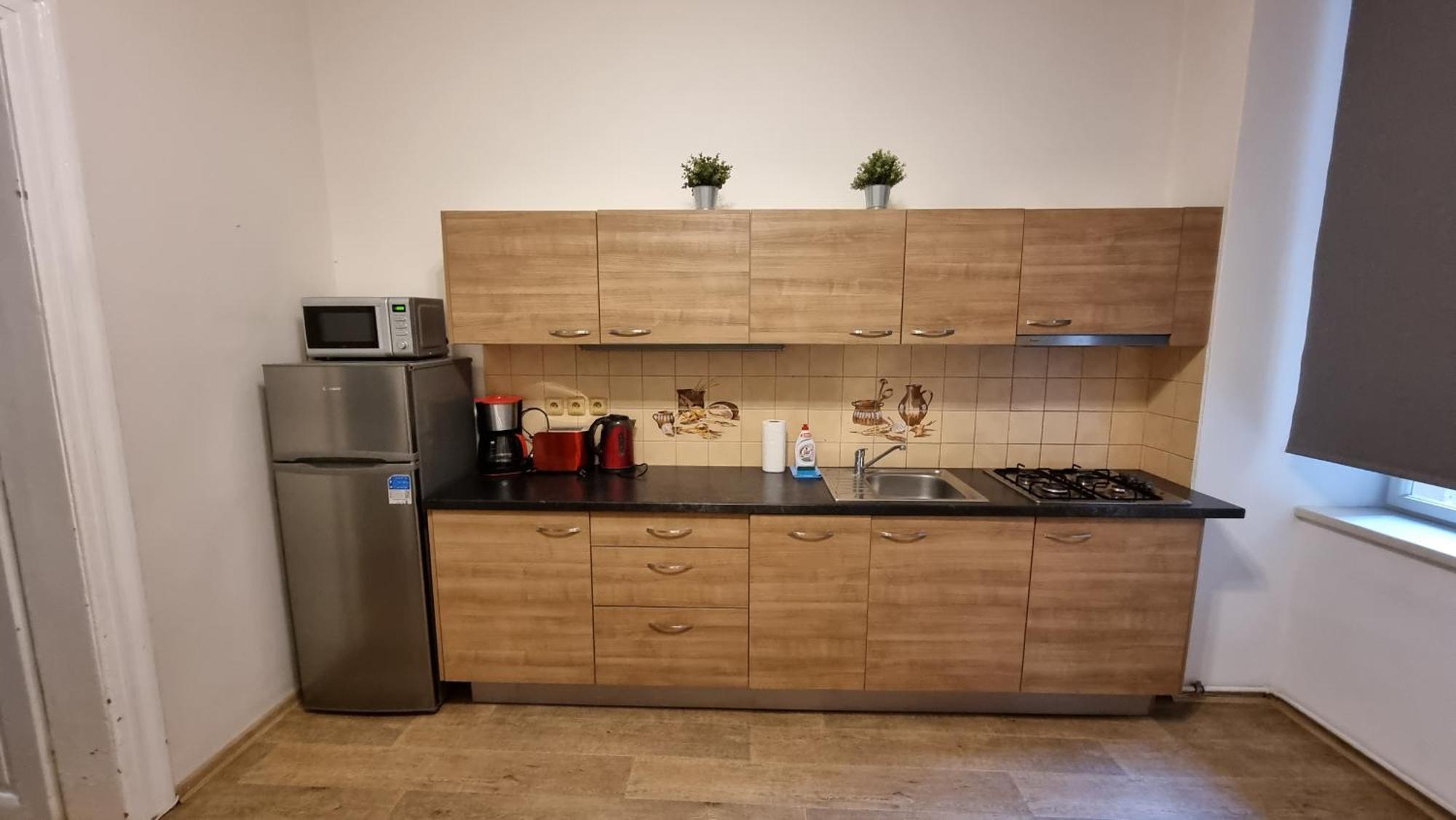 Apartment Krakovska 20 布拉格 外观 照片