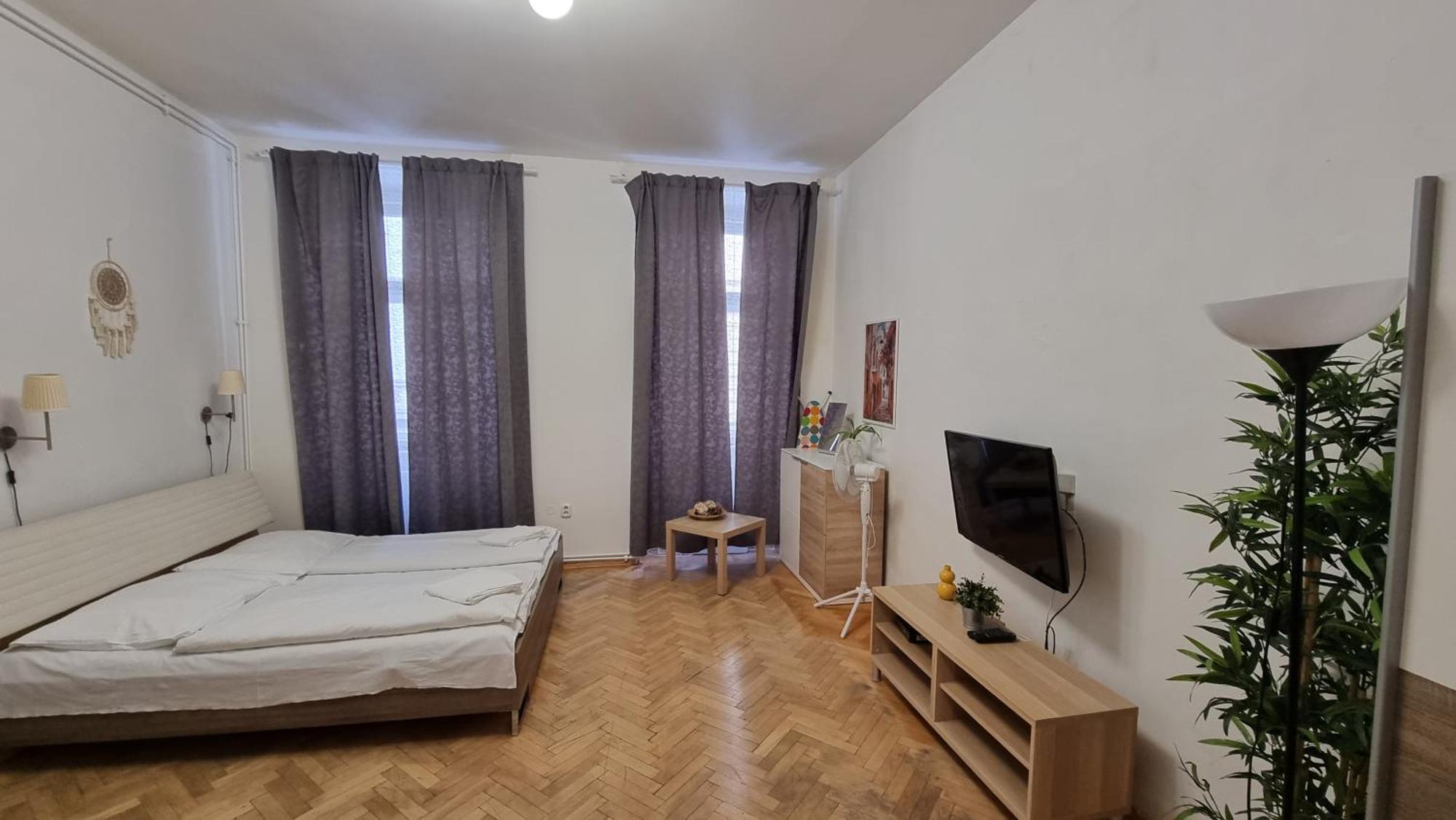 Apartment Krakovska 20 布拉格 外观 照片
